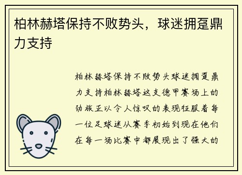 柏林赫塔保持不败势头，球迷拥趸鼎力支持