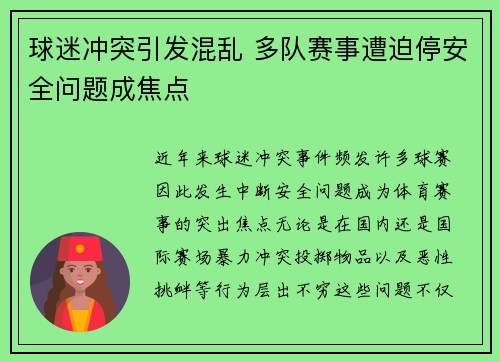球迷冲突引发混乱 多队赛事遭迫停安全问题成焦点